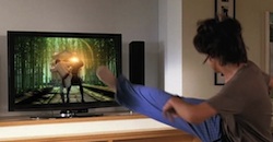 microsoft kinect